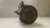 Compressor Ar condicionado Hyundai I30 2.0 2009 a 2012 - loja online