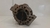 Alternador Jeep Renegade 1.8 Flex 2017 a 2020 I 51978345 na internet