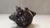 Alternador Toyota Corolla 2.0 2014 a 2016 I 270600T320 (2) na internet