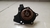Bomba Agua Volkswagen Golf Gti 2.0 2013 a 2019 06H121008 na internet