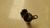 Valvula solenoide Hyundai Tucson 2.0 2005 a 2015 5238000140 - Alpha Auto Peças Sorocaba