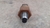 Sensor Temperatura Óleo Bmw 320i 2.0 Turbo 184cv Flex 2016 - loja online