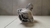 Motor Arranque Hyundai Hr 2.5 2013 a 2016 361004a150 - Alpha Auto Peças Sorocaba