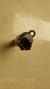 Valvula solenoide Kia Sorento 2.4 2010 a 2015 52g5000210 - Alpha Auto Peças Sorocaba