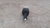 Sensor Pedal Freio Mitsubishi L200 Triton 2007 COM DETALHE