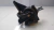 Coxim Suporte Motor Esquerdo JAC J3 1.4 2011 (1)