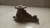 Bomba D'água Honda New Civic 2.0 2012 a 2016 na internet