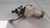 Cilindro Mestre Freio Chery QQ 1.1 2012 ORIGINAL na internet