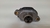 Valvula Eletromagnetica Bico Porsche Cayenne3.0 2018 2019(5)