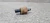 Sensor Pressao Oleo Bmw 320i N20 2.0 2012 13 14 15 16 17 18 - comprar online