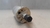 Filtro Secador Ar Condicionado Chrysler Neon 2.0 1998 A 2000 - comprar online