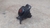 Botão Interruptor Pisca Alerta Nissan Frontier 2008 a 2012 - comprar online
