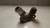 Flange valvula termostatica Gm Captiva 2.4 2009 a 2015