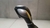 Alavanca marcha Ford Fusion Titanium 2013 a 2019 Titanium - comprar online