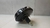Hidrovácuo Hyundai Hb20 1.0 2012 a 2018 585001s401 - comprar online