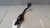 Pedal De Freio Gm Cruze 1.8 2012 - comprar online