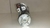Motor Arranque Hyundai Hb20 1.0 3cc 2018 A 2020 10 Dentes na internet