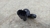 Sensor Posição Estabilidade Honda Civic 1.7 2001 a 2005 na internet