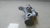 Cilindro Mestre Hidrovacuo Discovery Sport 2.0 2017 - comprar online