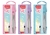 COMPAS MAPED STUDY PASTEL - BICHO CANASTO LIBRERIA
