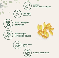 MICRO INGREDIENTS DHA 1000 / EPA 500 en internet