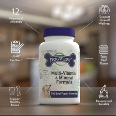 HEALTH THRU NUTRITION MULTI VITAMINICO Y FORMULA MINERAL PARA PERRO en internet