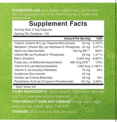 COMPLEJO BIOACTIVO DE VITAMINA B METILADO Y VITAMINA C 240 CÁPSULAS DEAL SUPPLEMENT - comprar en línea