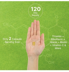 COMPLEJO BIOACTIVO DE VITAMINA B METILADO Y VITAMINA C 240 CÁPSULAS DEAL SUPPLEMENT - tienda en línea