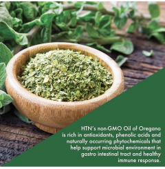 ACEITE DE ÓREGANO 120 CÁPSULAS CON ACEITE DE OLIVA EXTRA VIRGEN - Super D Vitamina