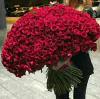 Buquê com 1000 Rosas