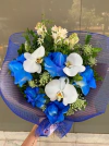 ENCANTO AZUL