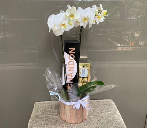 ORQUÍDEA BRANCA COM CHANDON