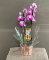 ORQUÍDEA ROSA COM FERRERO ROCHER