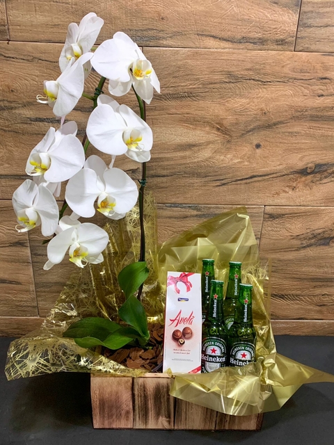 kit Orquídea Heineken
