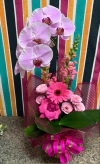 ORQUÍDEA ROSA COM ARRANJO FLORAL