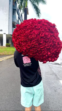Buquê 500 rosas Colômbianas - Floricultura Flores em Brasília / Entrega de Arranjos de Luxo