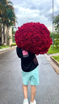 Buquê 500 rosas Colômbianas - comprar online