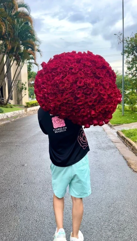 Buquê 500 rosas Colômbianas - comprar online
