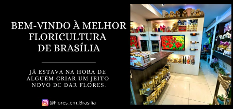 Imagem do banner rotativo Floricultura Flores em Brasília / Entrega de Arranjos de Luxo
