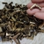 CANTONEIRAS 1,7CM - OURO VELHO - KIT 4 UNIDADES