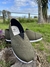 Alpargata La Madre - Verde Musgo - comprar online