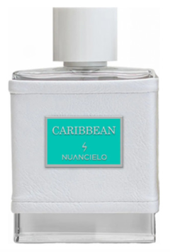 Caribbean Nuancielo - Virgin Island Water - Creed - DE 2 ML À 34 ML. NUANCIELO