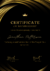 Imagem do Certificado Diploma Formatura Infantil Médio Graduação e Pós