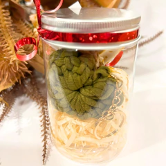 Latinha Carinho na internet