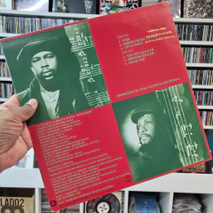 LP SLY & ROBBIE - RHYTHM KILLERS na internet