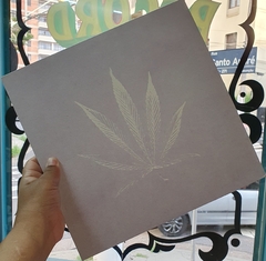 LP JJ - JJ Nº 2.1