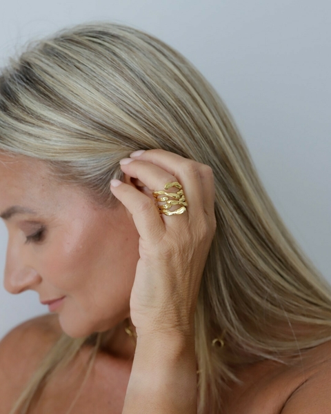 Anillo Rama Doble - comprar online