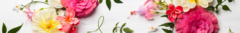 Banner da categoria Tratamentos