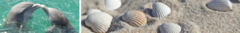 Banner da categoria Cabelos  Finos