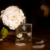 Srta Magnólia - Perfume Botânico - 50ml on internet